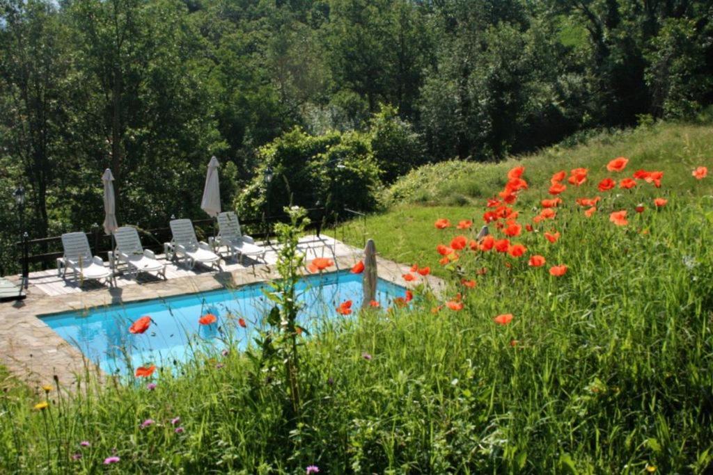 Casa Domenica - Home&More Monastero Bormida Экстерьер фото